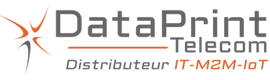 Logo-DataPrint-2017-header