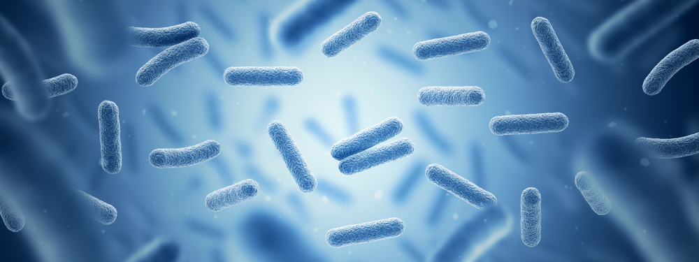Scientific Visualization of Bacteria in Water